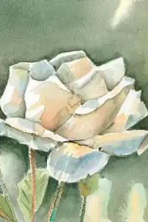 ปกนิยาย [Fic Namjin] White day.