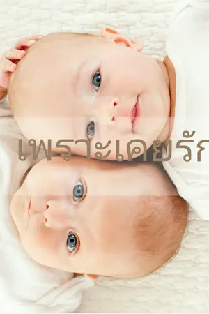 ปกนิยาย เพราะเคยรัก