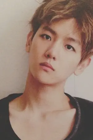 ปกนิยาย (exo) amour | chanbaek｡