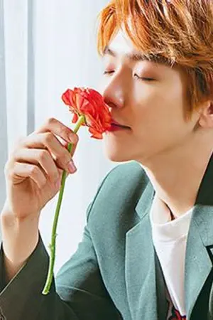 ปกนิยาย รักล้นใจ //Chanbaek