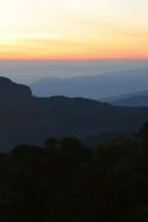 ปกนิยาย oh my love รักนี้ครั้งนี้ขอกำหนดเอง