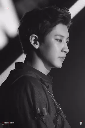 ปกนิยาย คลั่งรัก Chanbaek