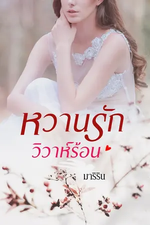 ปกนิยาย