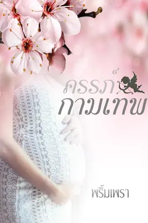 ปกนิยาย