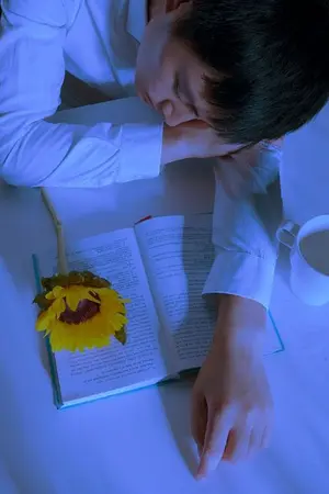 ปกนิยาย ดวงตะวันสีขุ่น