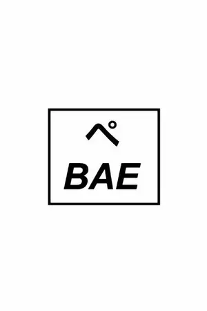 ปกนิยาย (fic exo) BAE | hunhan