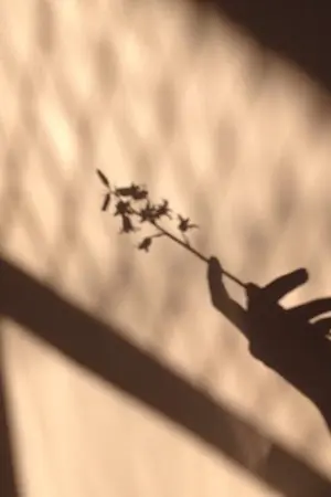 ปกนิยาย BROWN - KAISOO