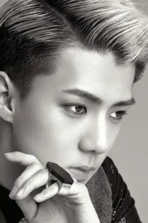 ปกนิยาย Kiss Me To You [SehunxLuhan]