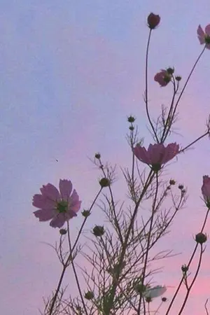 ปกนิยาย untitled -