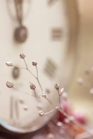 ปกนิยาย [SF Beast] A Story Of Beast