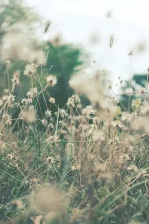 ปกนิยาย sensation { ChanBaek }