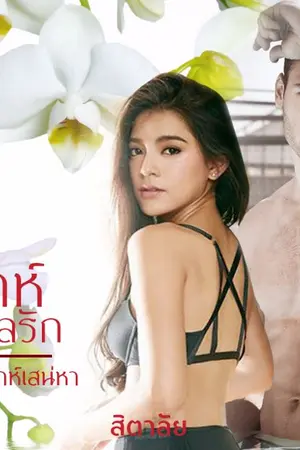 ปกนิยาย วิวาห์ร้อยกลรัก  ซีรีส์ชุด วิวาห์เสน่หา