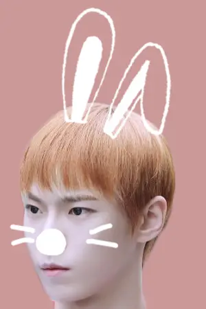 ปกนิยาย JAEDO  ❀  Jaehyun In Wonderland