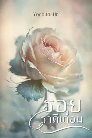 ปกนิยาย