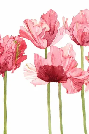 ปกนิยาย { NCT } Why We Broke Up ｡ #JAEYONG