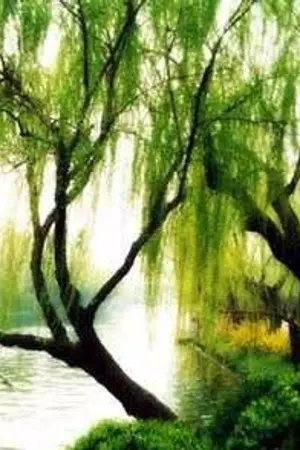 ปกนิยาย เฮยหลิว จอมใจจอมทัพ [BL]