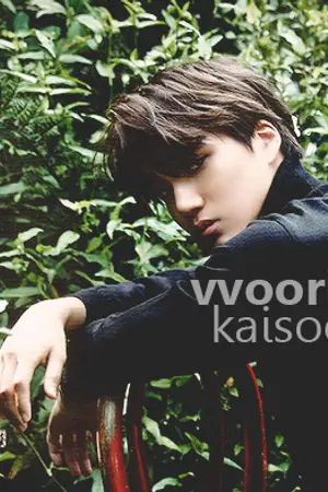 ปกนิยาย VVOORI.  l   KAISOO;KAIDO