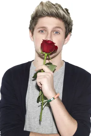 ปกนิยาย [Fic 1D] Niall love story