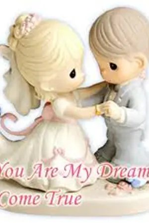 ปกนิยาย วิวาห์ฟ้าแลบ