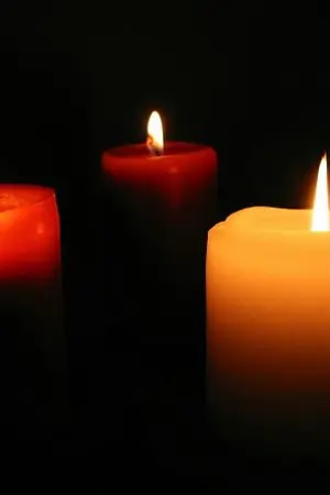 ปกนิยาย The Immortal วิญญาณอมตะนิรันดร์