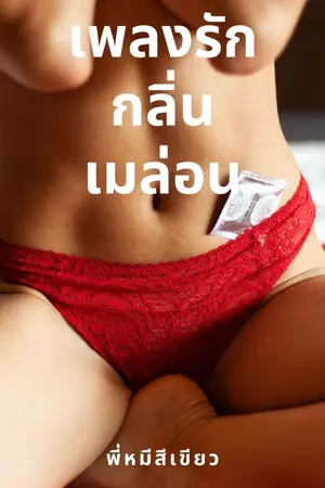 ปกนิยาย