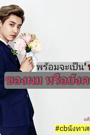 ปกนิยาย