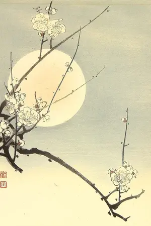 ปกนิยาย 我和我朋友是好人(ข้าและสหายล้วนเป็นคนดี)