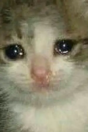 ปกนิยาย ใยพระนครจึงแคบนัก! (chanbaek)