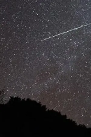 ปกนิยาย [BeeCris] SF :: WISH ::