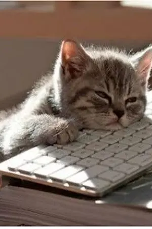 ปกนิยาย ชีวิตของนักเขียนมันก็มีแค่นี้เอง..