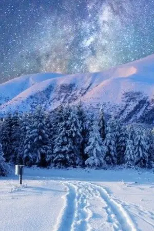 ปกนิยาย Cold in warm