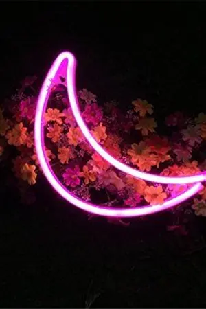 ปกนิยาย MOONLAND [Yaoi]