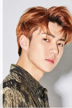 ปกนิยาย Secrets of Attraction ความลับของแรงดึงดูด(รัก)