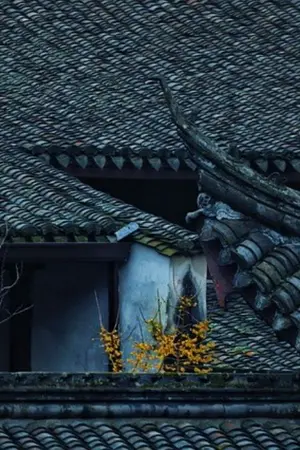 ปกนิยาย ชายาตัวแสบของท่านอ๋อง