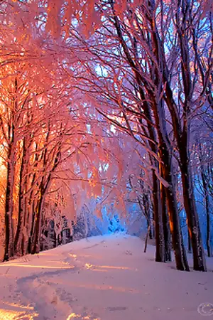 ปกนิยาย red velvet - winter's diary ( all couples )