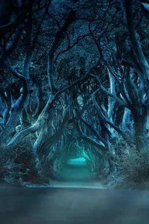 ปกนิยาย Perfect Dream