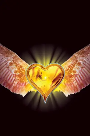 ปกนิยาย คนดีสูญหาย คนร้ายสิ้นหวัง