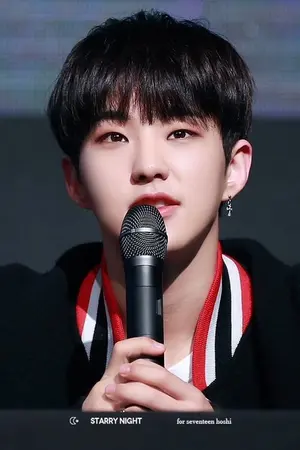 ปกนิยาย | SEVENTEEN | Ich mag dich #SOONHOON