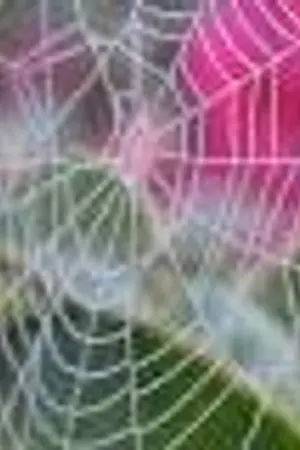 ปกนิยาย ใย..รัก