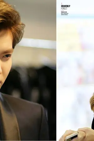 ปกนิยาย destiny รักเราลิขิตแล้ว [krissica]