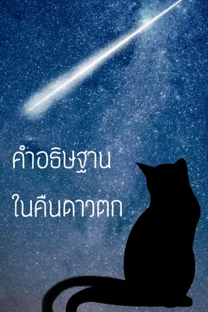 ปกนิยาย คำอธิษฐานในคืนดาวตก