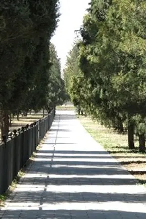 ปกนิยาย ปาฏิหาริย์รักบัลลังก์มังกร