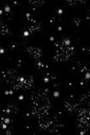 ปกนิยาย ตุ๊กตา อาถรรพ์