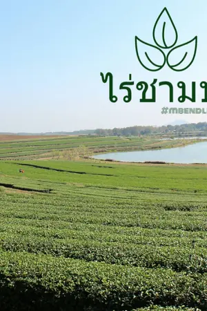 ปกนิยาย [Got7] ไร่ชามาร์คแบม