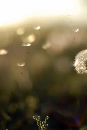 ปกนิยาย รักคือ เดอะซีรี่ย์ { Krisyeol,Kaido,hunhan }