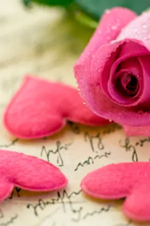 ปกนิยาย The Parallel