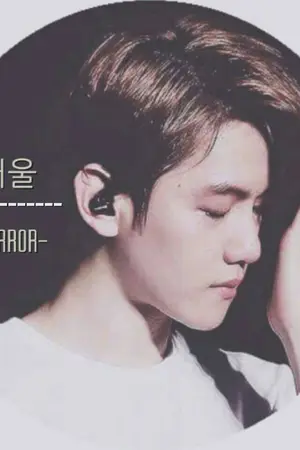 ปกนิยาย [Exo] -거울mirror- chanbaek.