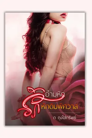 ปกนิยาย