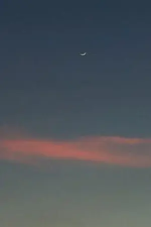 ปกนิยาย minhyun x hyunbin (sf/os) from the moon .