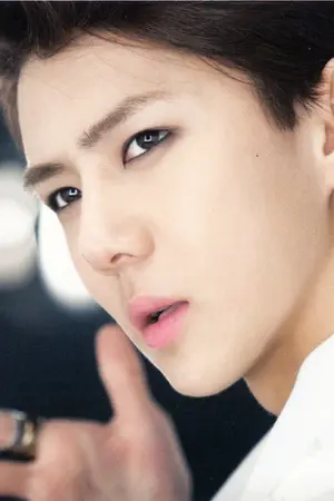 ปกนิยาย [eXO]Try พยายามอีกครั้งสิครับ HUNHAN